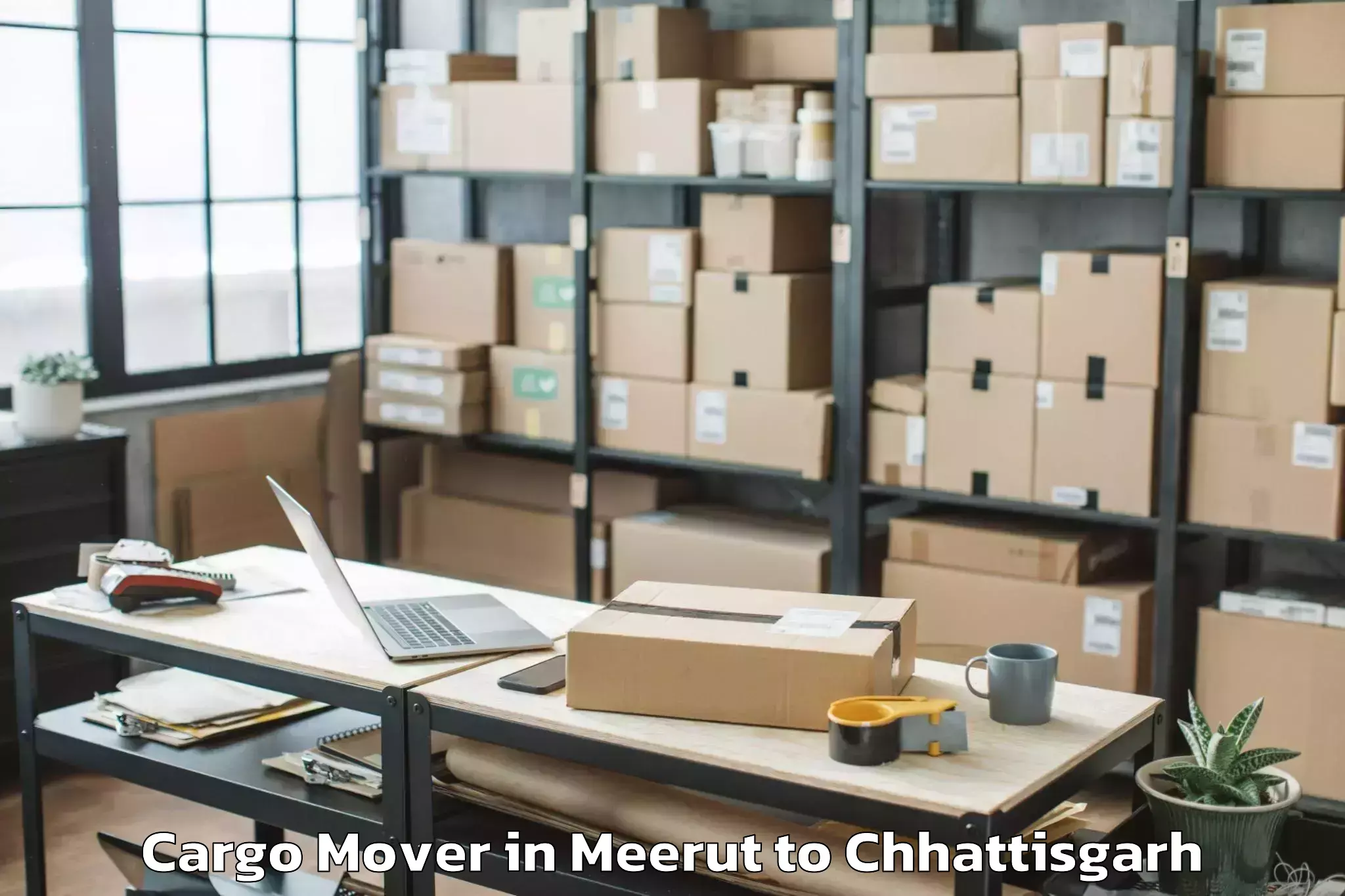 Book Meerut to Kumhari Cargo Mover Online